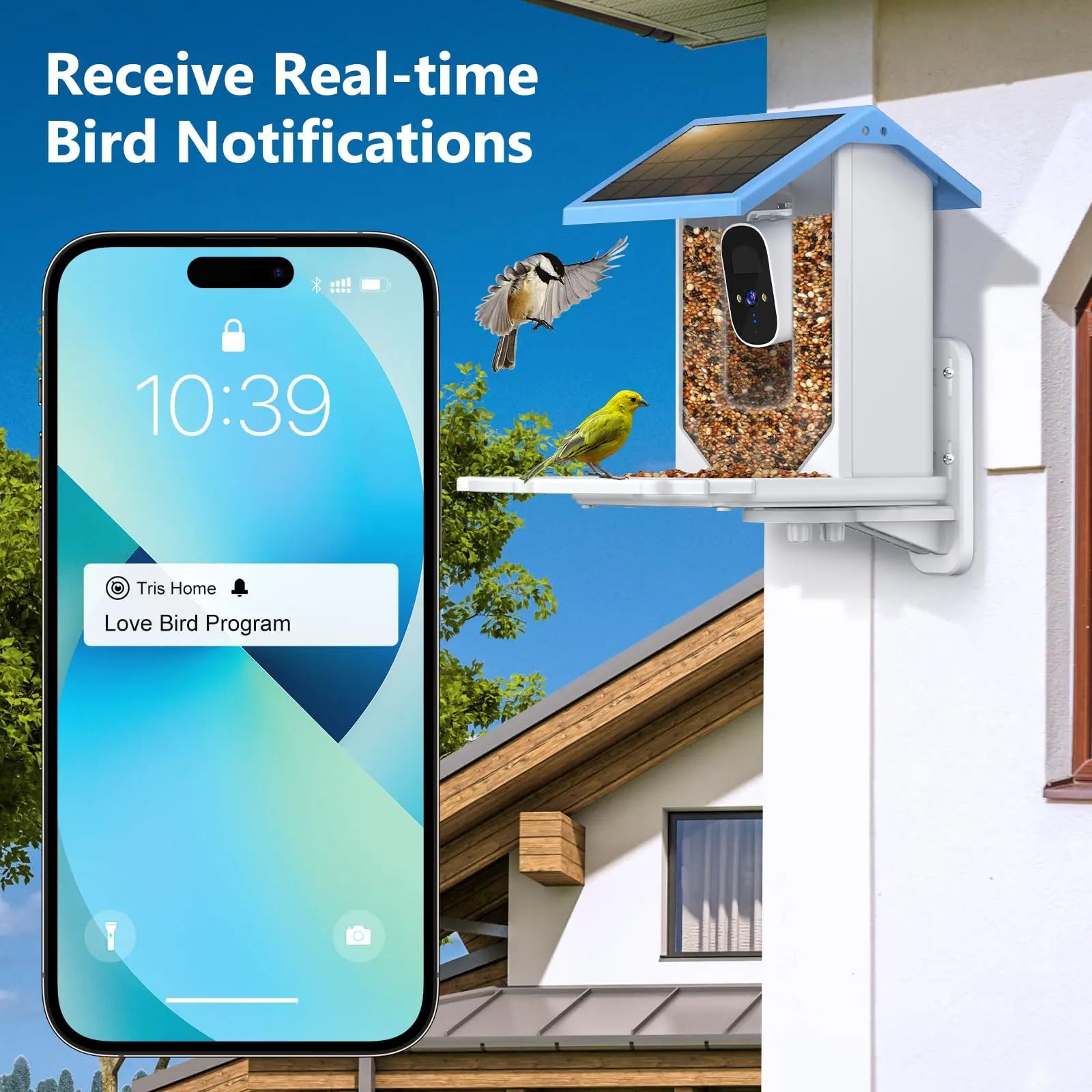 Smart Bird Feeder with 2.4K Camera, Solar Power & Night Vision