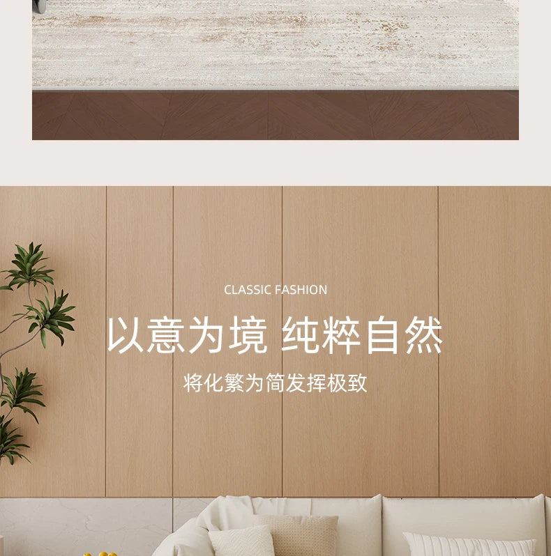 Italian Minimalist Carpets for Living Room Light Luxury Bedroom Decor Plush Carpet Fluffy Soft Large Area Rug Home Cloakroom Mat