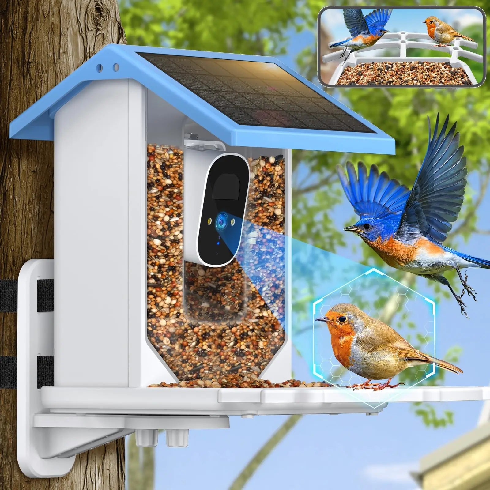 Smart Bird Feeder with 2.4K Camera, Solar Power & Night Vision