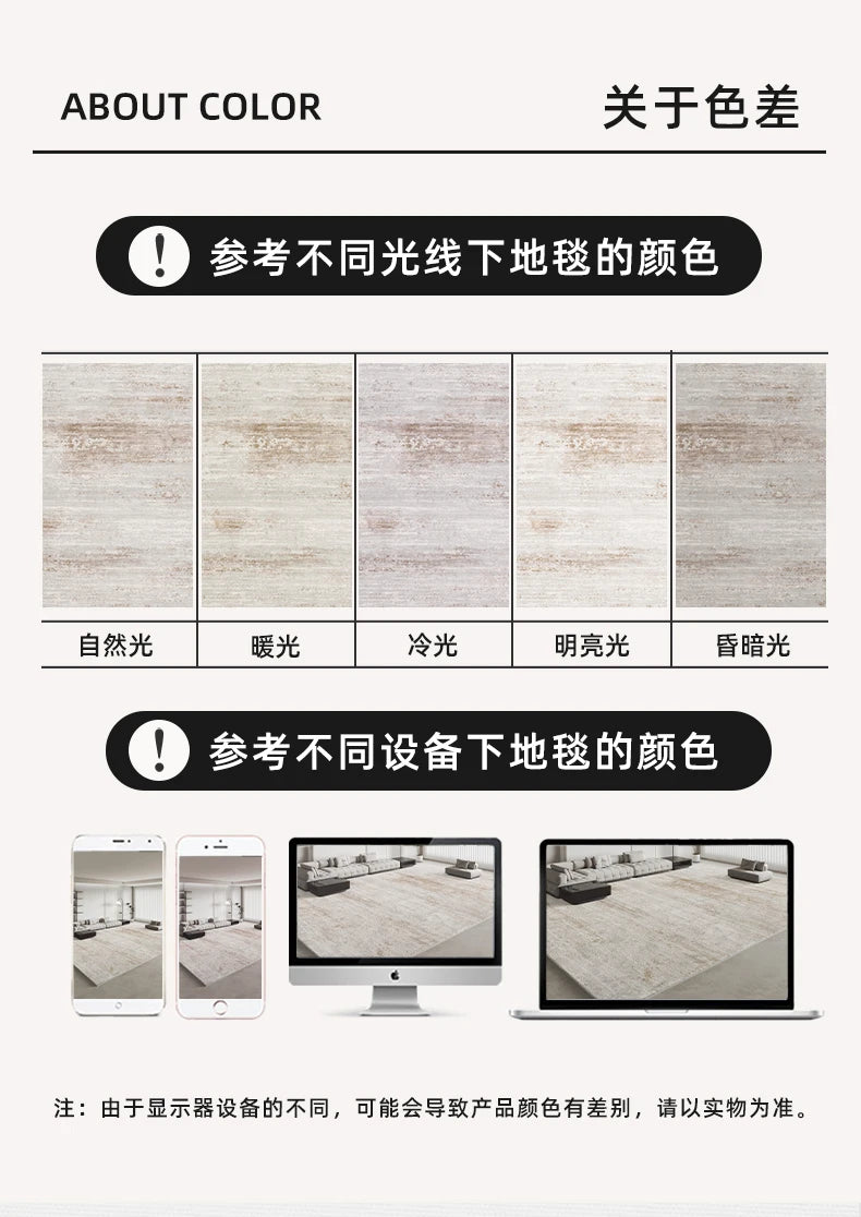 Italian Minimalist Carpets for Living Room Light Luxury Bedroom Decor Plush Carpet Fluffy Soft Large Area Rug Home Cloakroom Mat