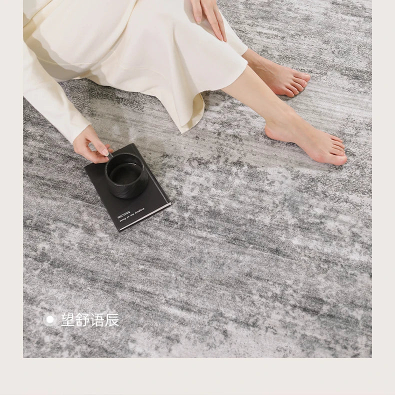 Italian Minimalist Carpets for Living Room Light Luxury Bedroom Decor Plush Carpet Fluffy Soft Large Area Rug Home Cloakroom Mat