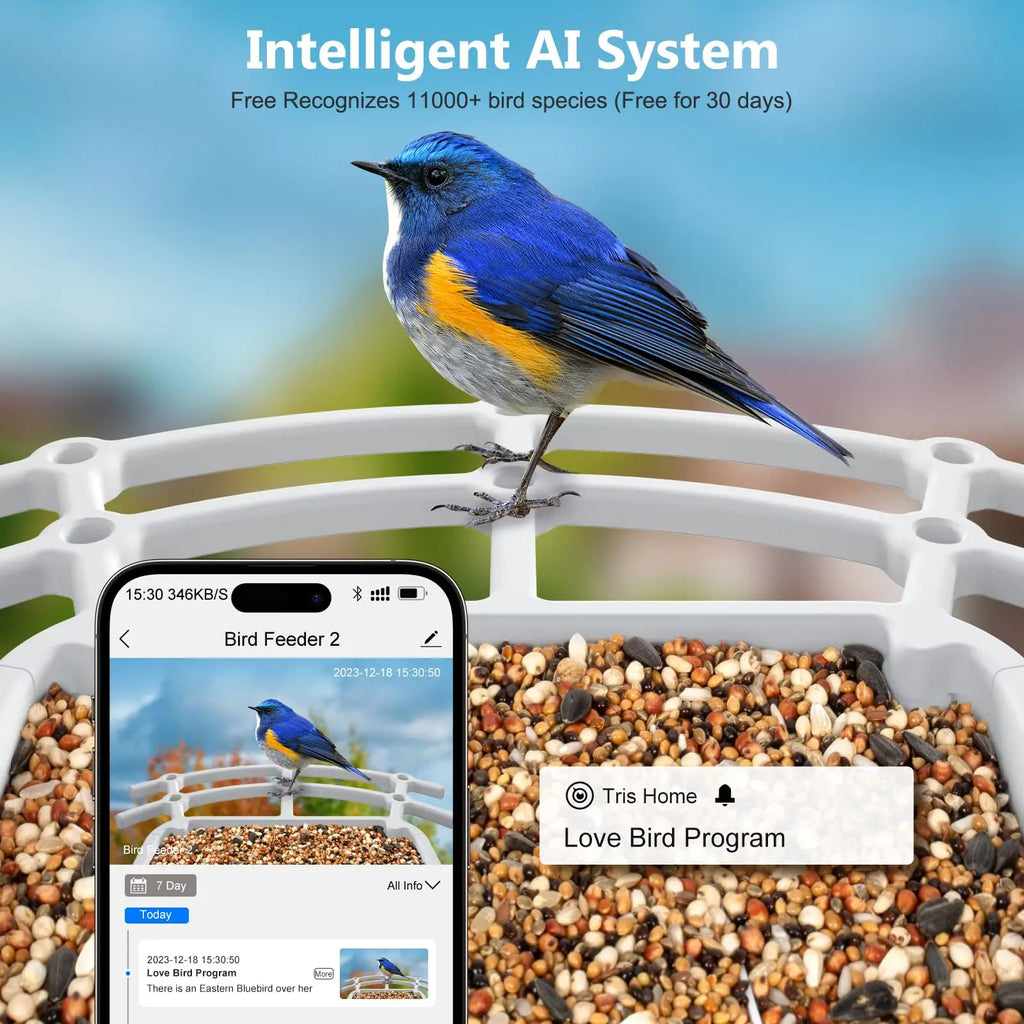 Smart Bird Feeder with 2.4K Camera, Solar Power & Night Vision