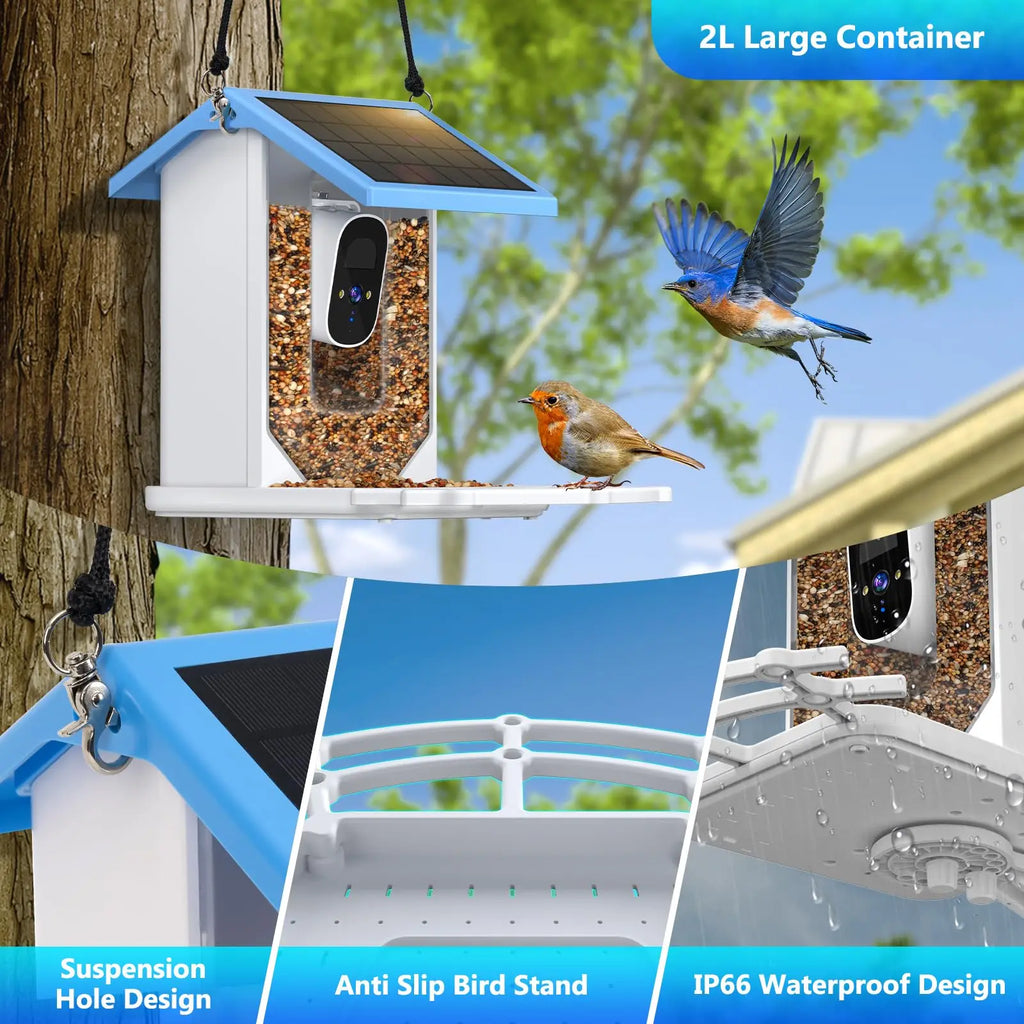 Smart Bird Feeder with 2.4K Camera, Solar Power & Night Vision