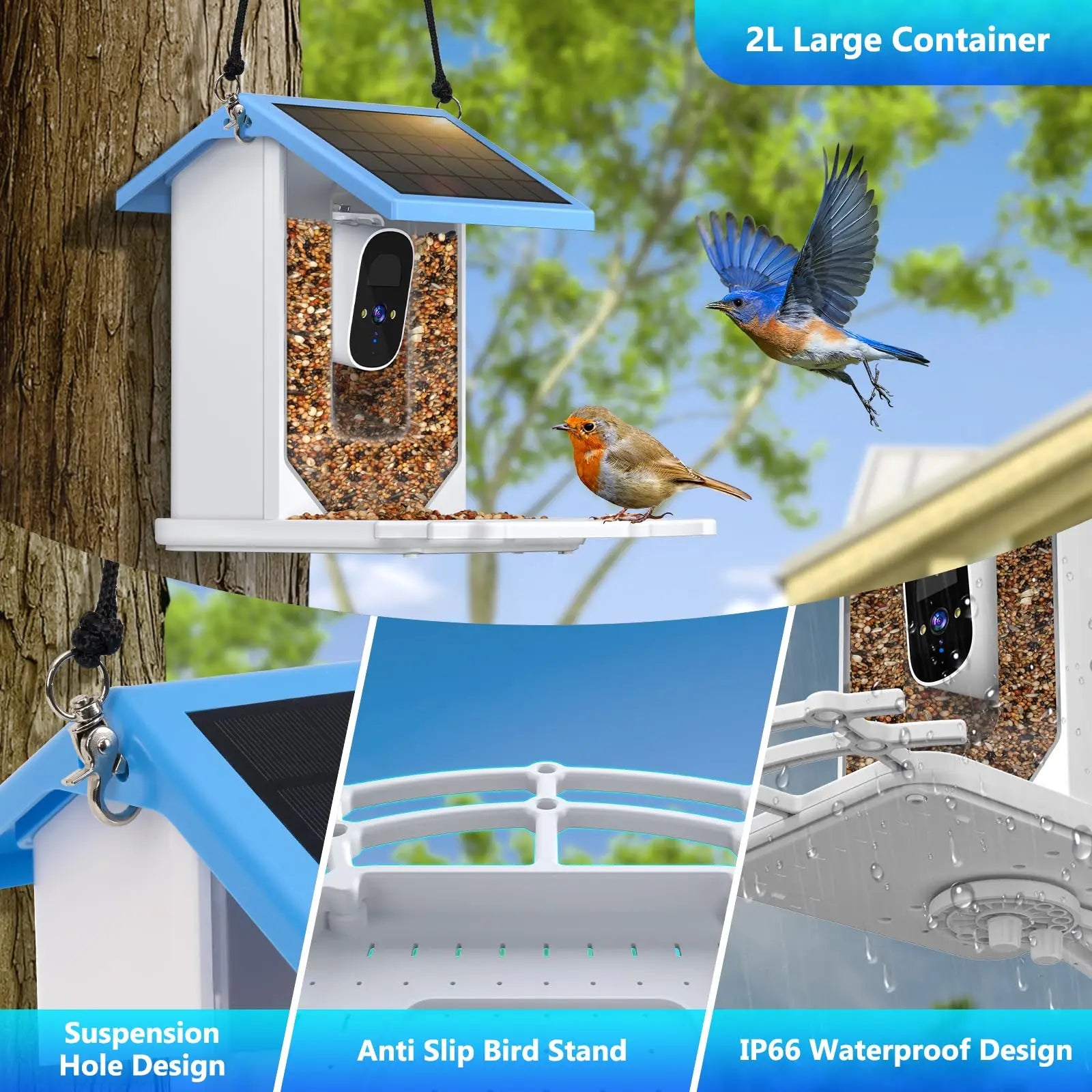 Smart Bird Feeder with 2.4K Camera, Solar Power & Night Vision