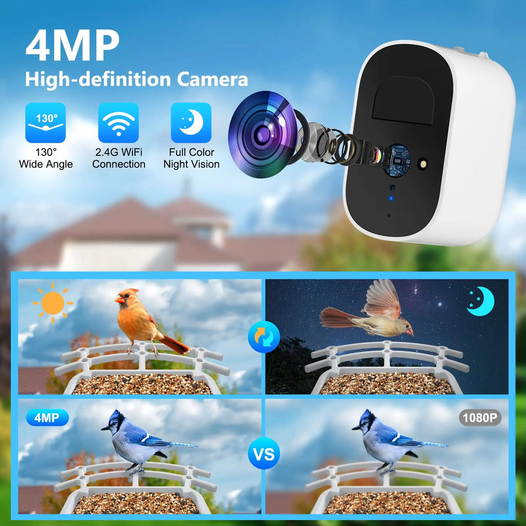 Smart Bird Feeder with 2.4K Camera, Solar Power & Night Vision