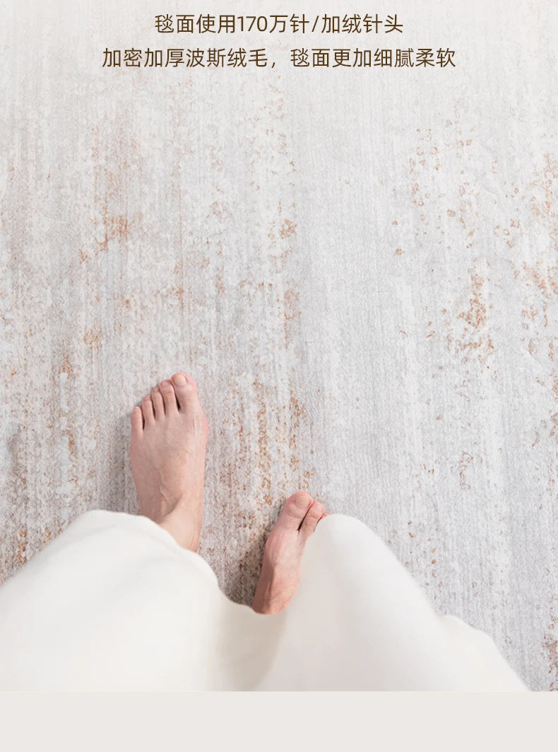 Italian Minimalist Carpets for Living Room Light Luxury Bedroom Decor Plush Carpet Fluffy Soft Large Area Rug Home Cloakroom Mat