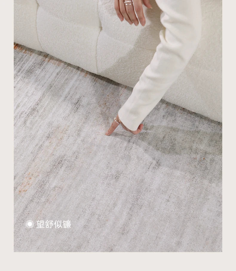 Italian Minimalist Carpets for Living Room Light Luxury Bedroom Decor Plush Carpet Fluffy Soft Large Area Rug Home Cloakroom Mat